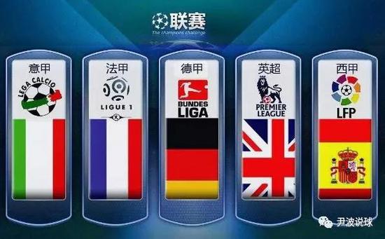 人与猛龙的