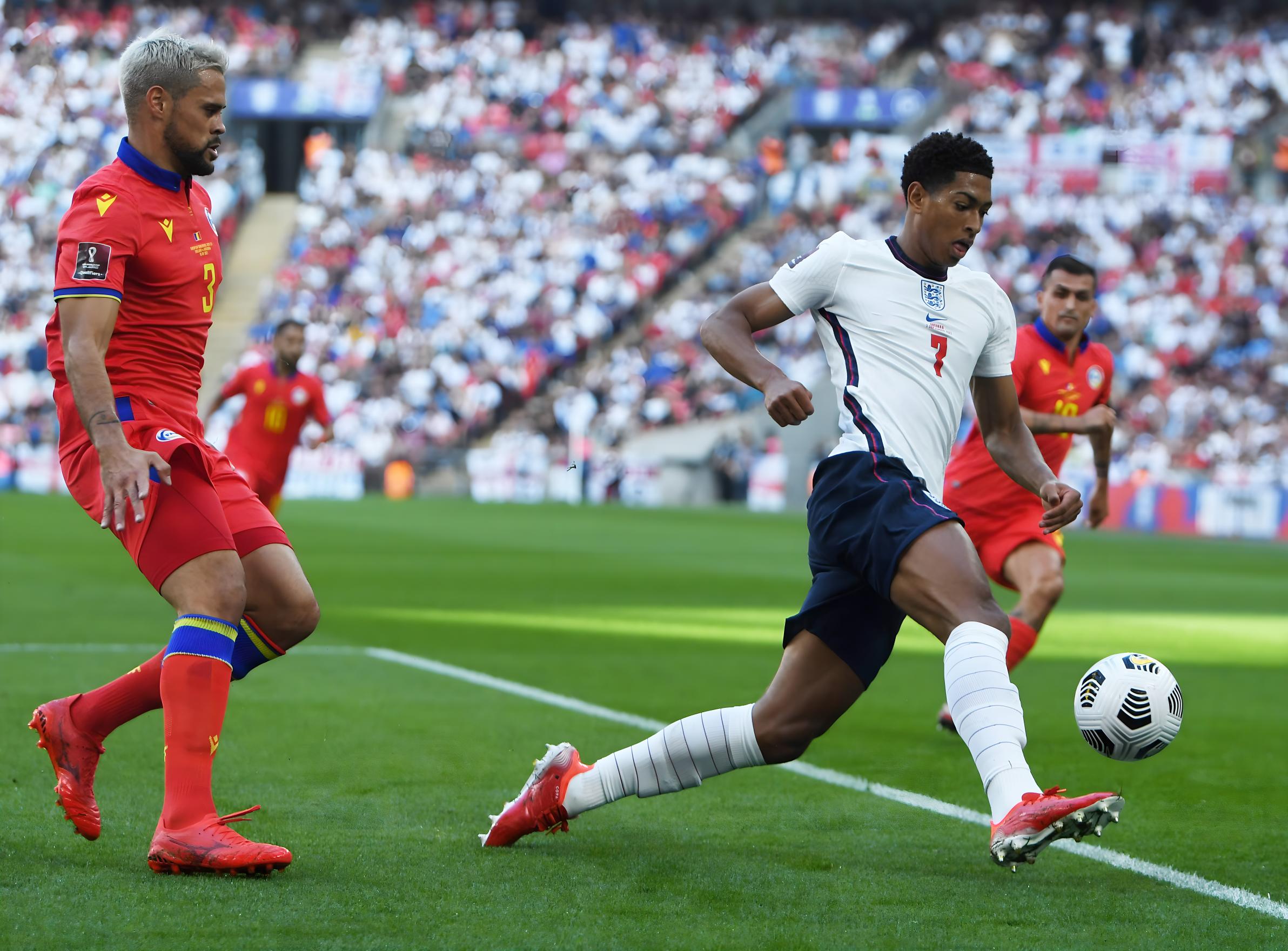 不仅巩固了 不仅巩固了